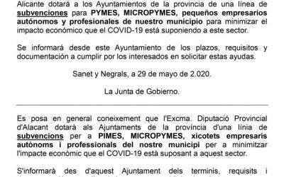 AYUDAS A PYMES, MICROPYMES, PEQUEÑOS EMPRESARIOS AUTÓNOMOS Y PROFESIONALES. COVID-19